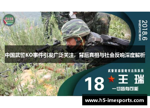 中国武警KO事件引发广泛关注，背后真相与社会反响深度解析