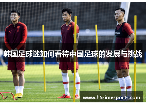 韩国足球迷如何看待中国足球的发展与挑战